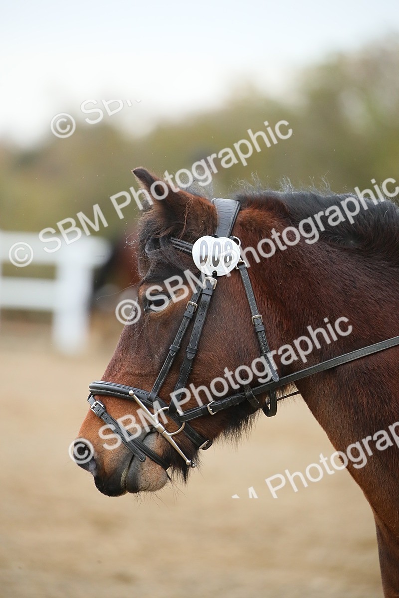 SBM_000282 - Intro 1