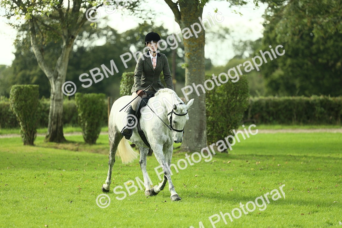 SBM_50661 - S33 - Working Hunter & Working Show Horse