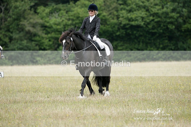 BVRC 030721 54 - Bourne Valley Riding Club Dressage 03/07/21