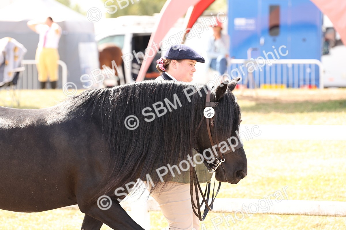 SBM_15020 - Class 209 - IH Veteran Pony