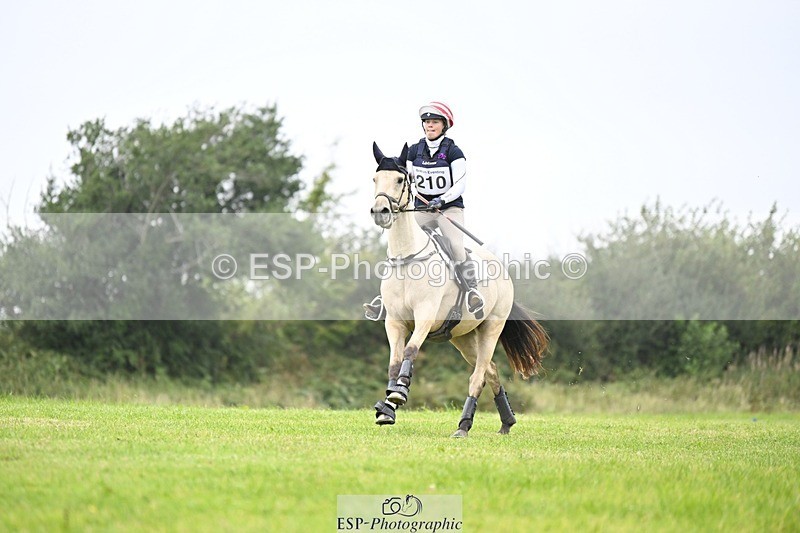 240831A-151610-04454 - 210-Zara.Head-FOURFIELDS.X.FAKTOR