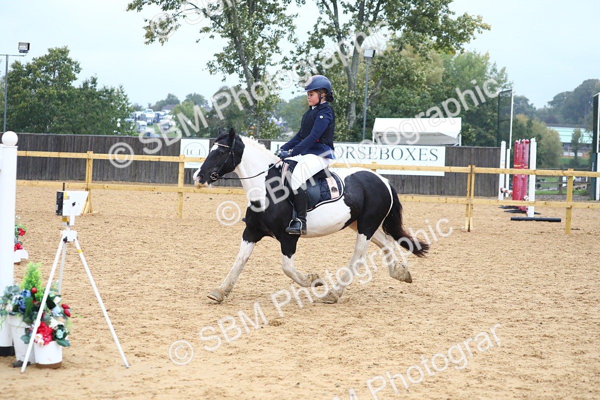 SBM_71545 - J4 - Mini Tour Junior Pony 45cm Championship