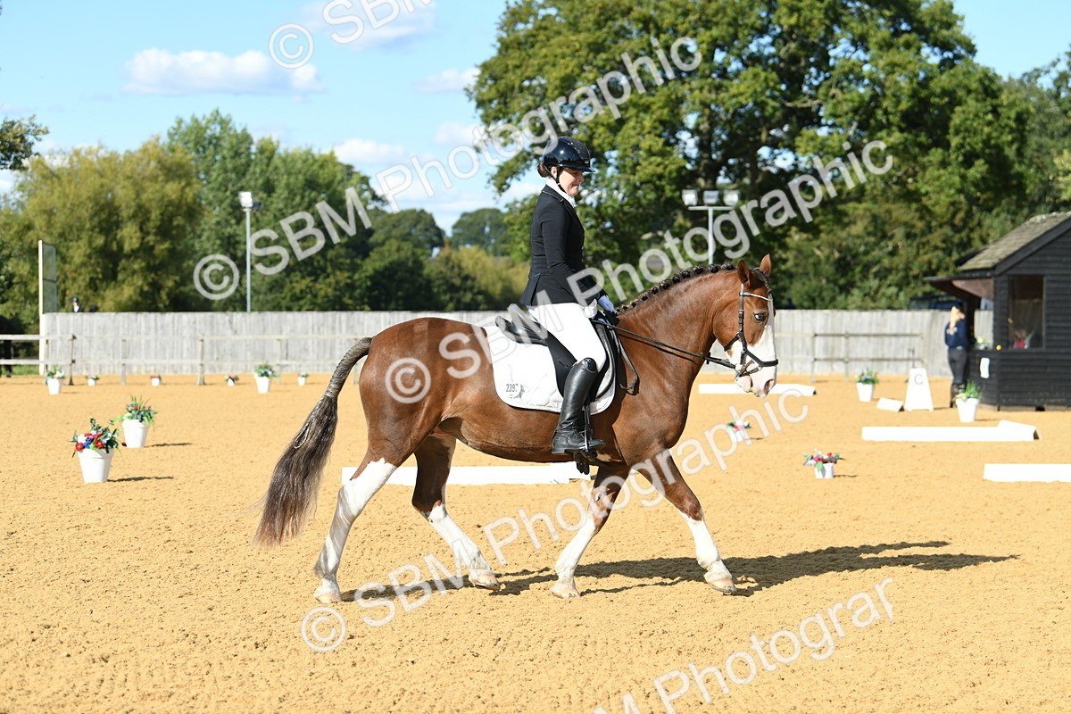 SBM_27086 - D16 - Small Tour Championship - Novice 28