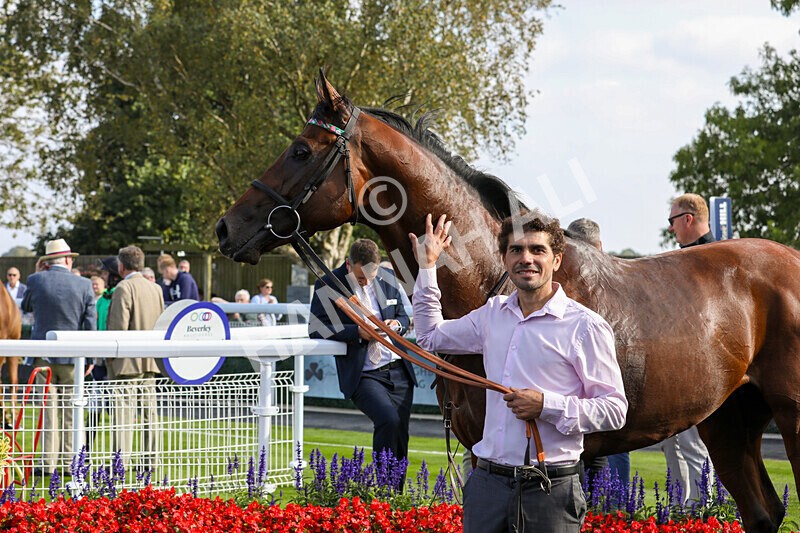 310824-Race 6-Amphius-1982 - Race 6