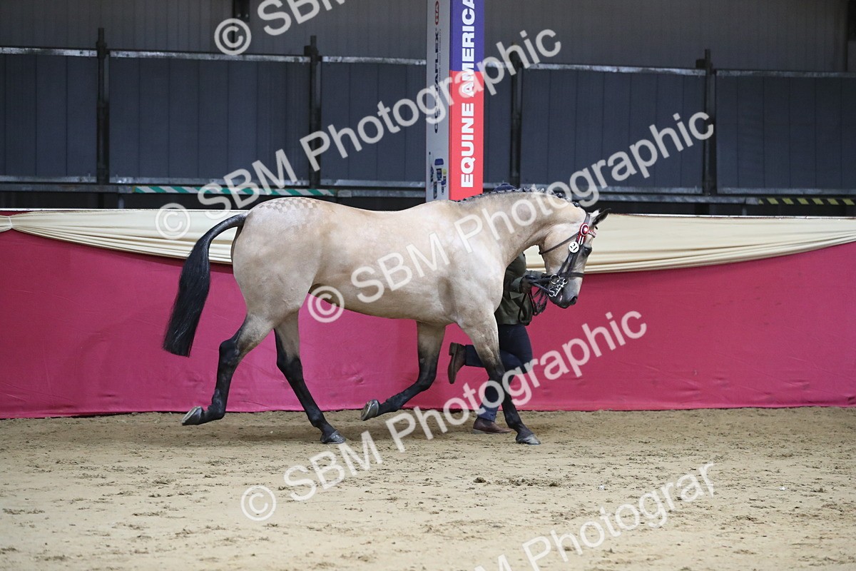 SBM_05014 - Class 8R- Regional -IH Veteran