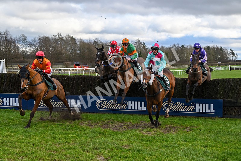 020224-Race 2-Onenightintown-7924 - Race 2