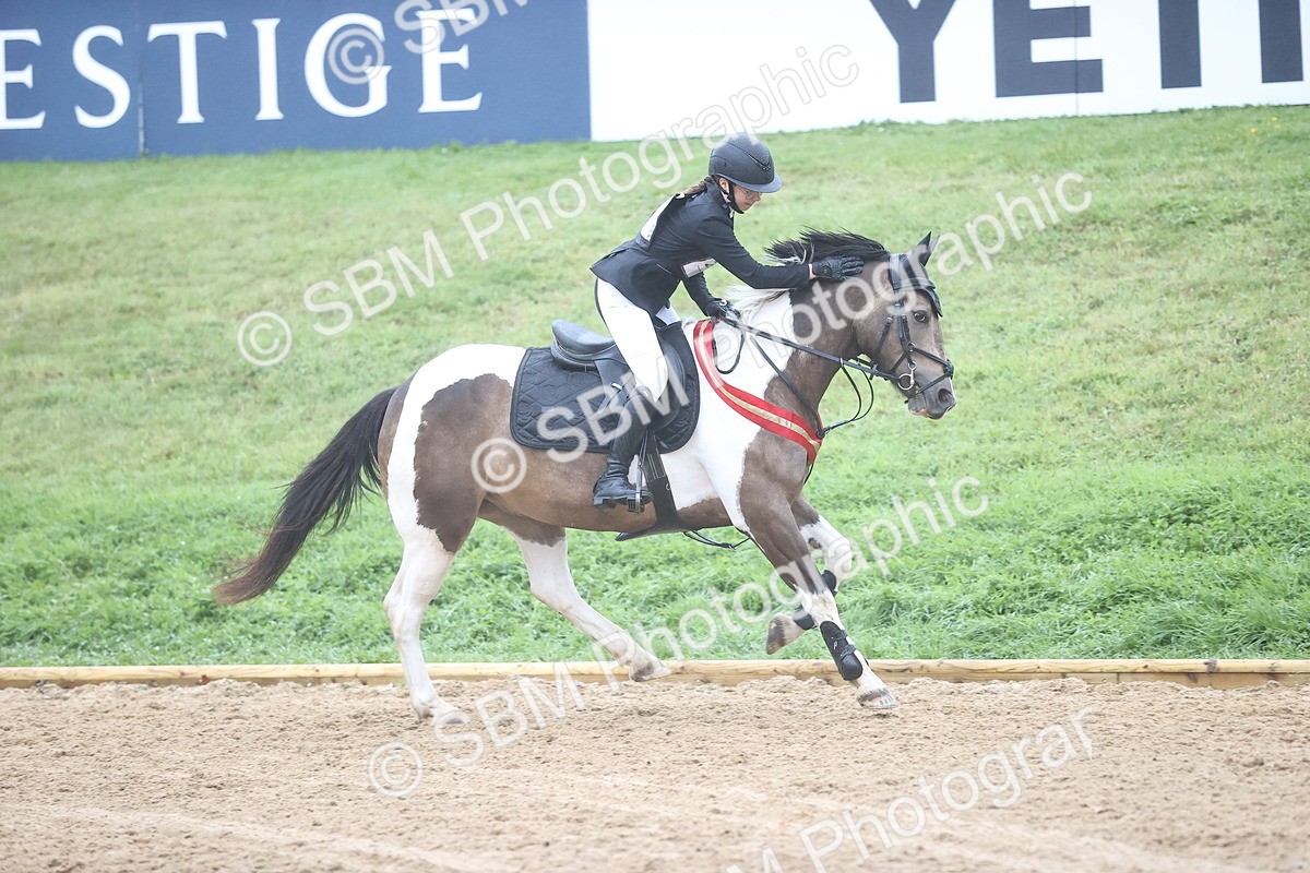 SBM_73636 - J19 - Junior Horse & Pony 90cm Supreme championship