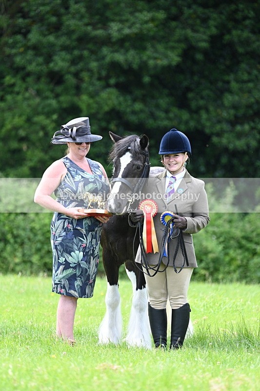 WJ7_1567 - Class 11 Condition & Turnout