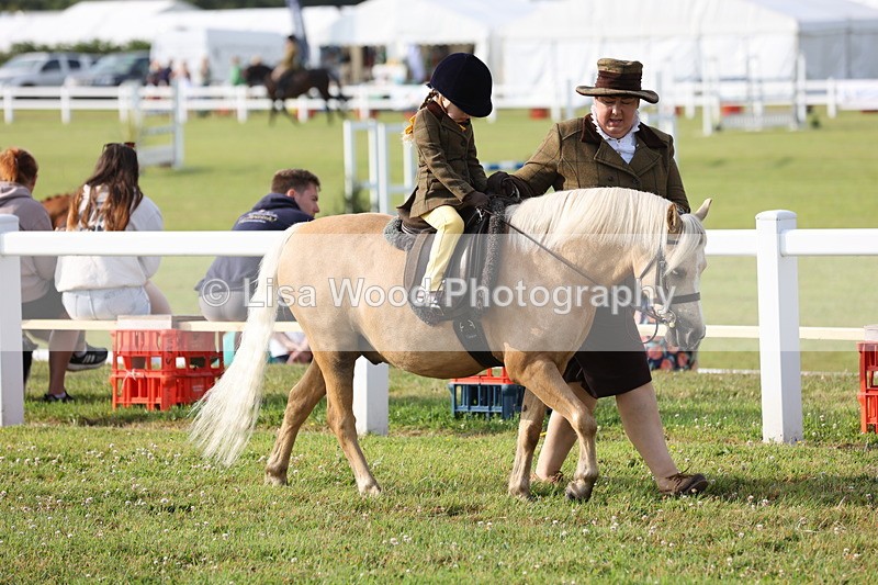 JPP_0164 - Class 14: Cornish Combination Leading Rein