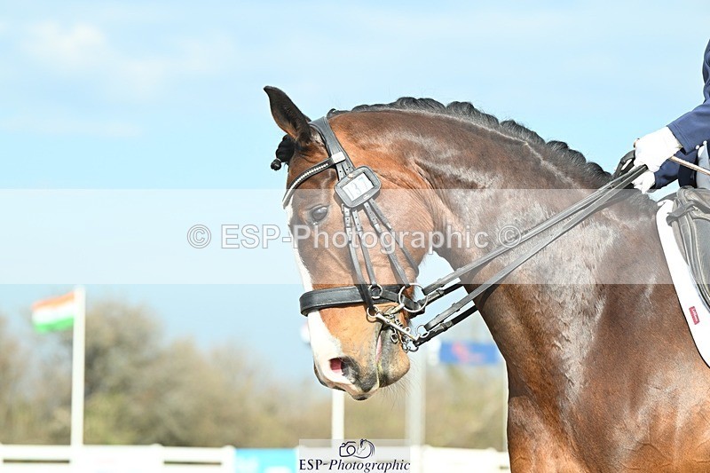 250403-095558-01091 - 037-Fay.Lai-Greenlanes.Lullaby