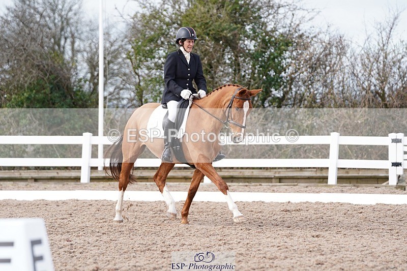 250322-104900-00177 - DR Elementary 1 Test