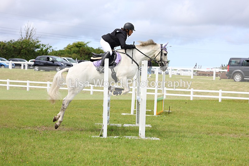 3E7A7737 - Class 13: Senior British Novice/90cm open