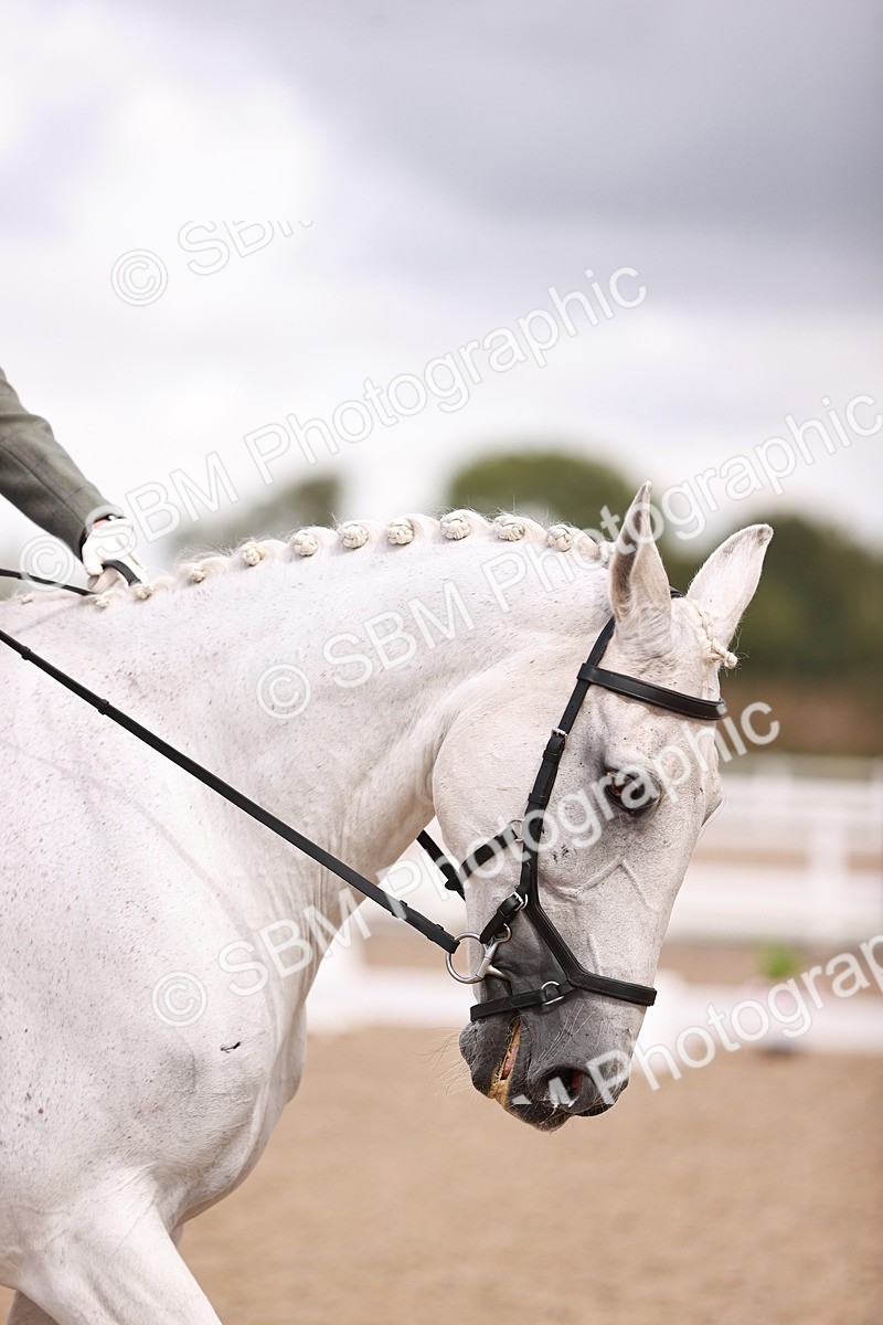 SBM_04066 - Class 36 - Prelim 5