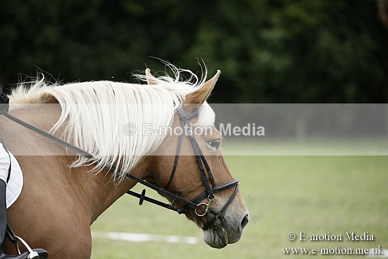 BVR080918 140 - BVRC Novice Dressage & CR 08/09/18
