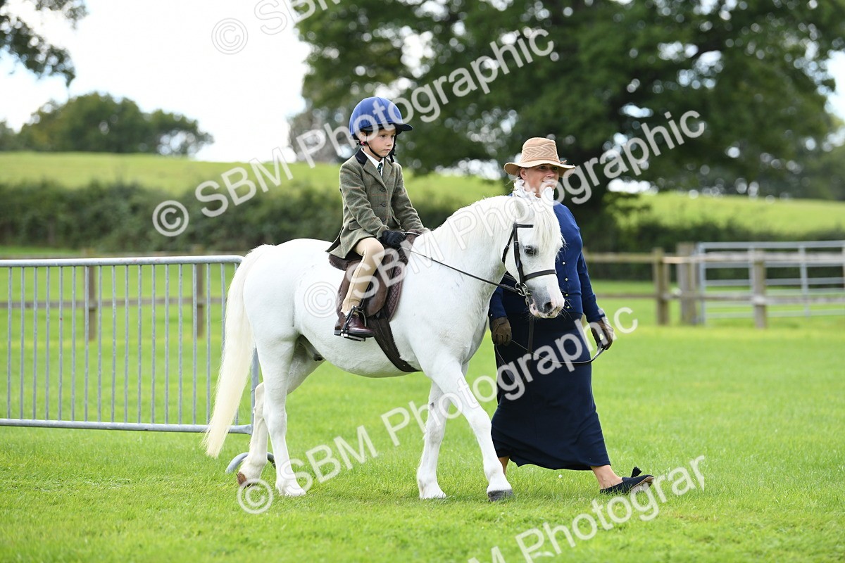 SBM_42418 - S20 - Lead Rein Mountain & Moorland Pony