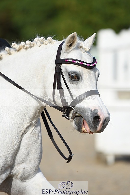 230824-170718-06265 - Round 1 Assisted 16.20 to End