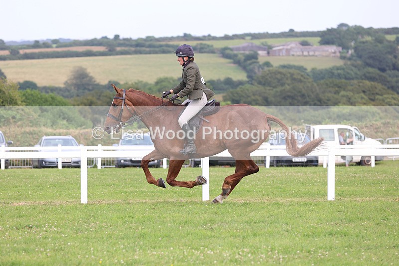 JPP_4525 - Class 26: Working Hunter 1m