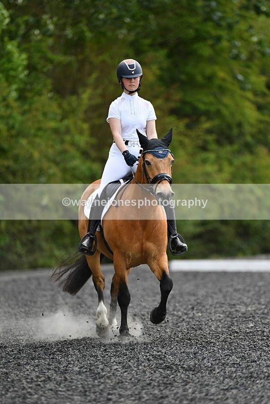 WJ5_1041 - Time 13:45 to 14:20