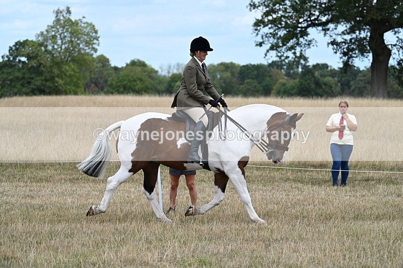WJ7_4851 - Class 12 Ridden Cob