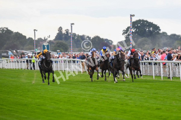 230823-Race 2-Indian Run-0307 - Race 2 2.25pm Tattersalls Acomb Stakes