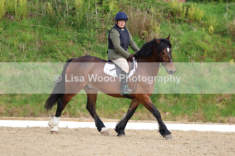 3E7A3426 - Class 2: INTRO B- INTRO 3 2024