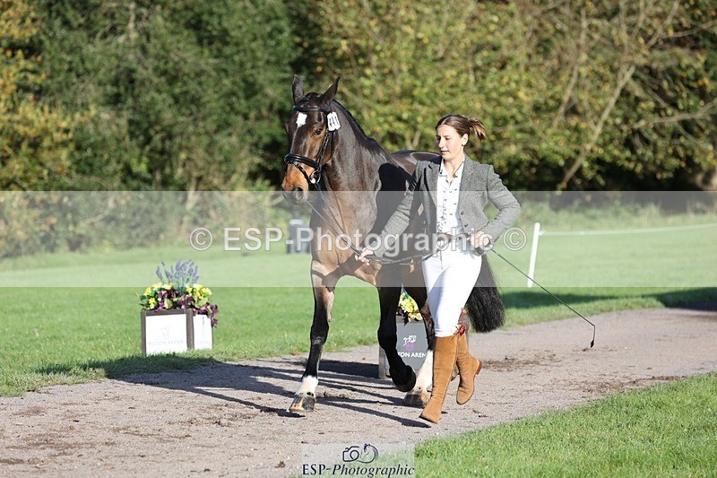 241027-093851-15411 - 441-Molly.Swain-SOCKS