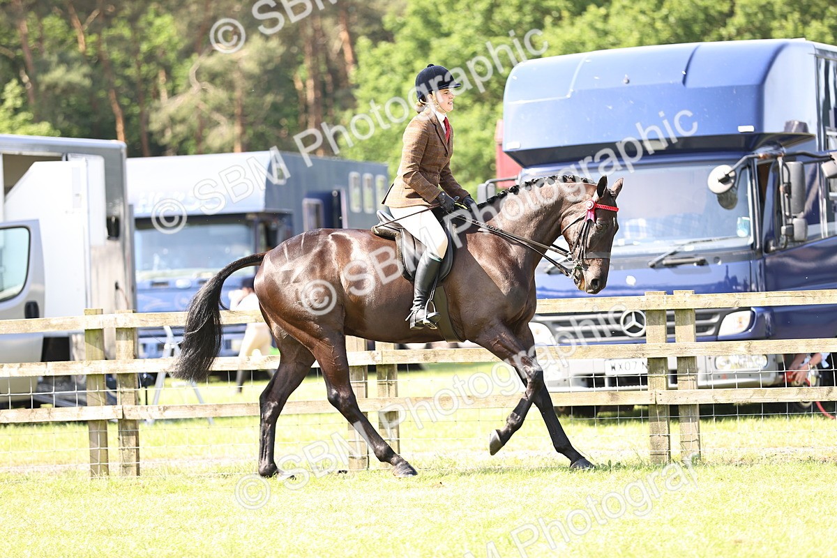 SBM_12993 - Class 75-76 LIHS BSHA Rising Star Hack Riding Horse