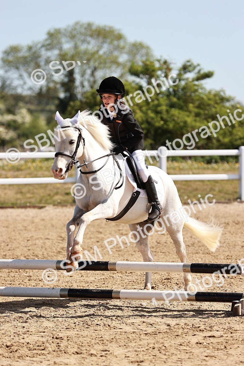 SBM_006843 - Class 2 - 50cm