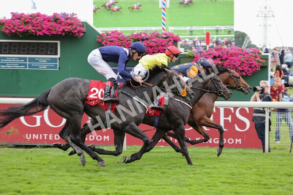 yr19082021r2-28 - Race 2 2.25pm Goffs UK Premier Yearling Stakes