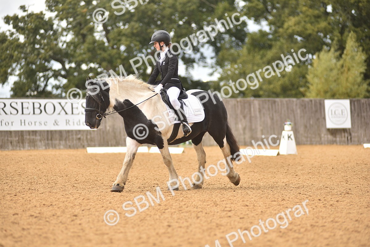 SBM_42540 - D22 - Junior Championship Intro 3