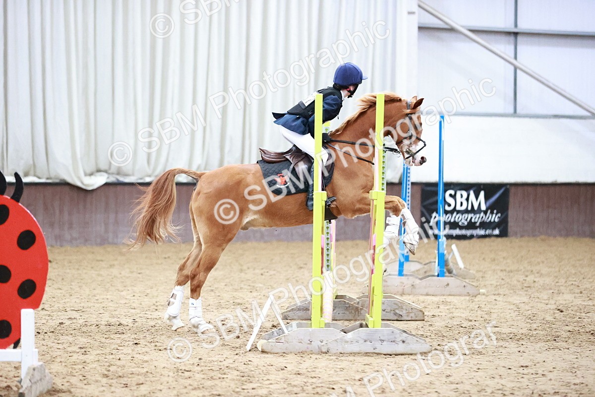 SBM_000977 - Class 3 - 60cm