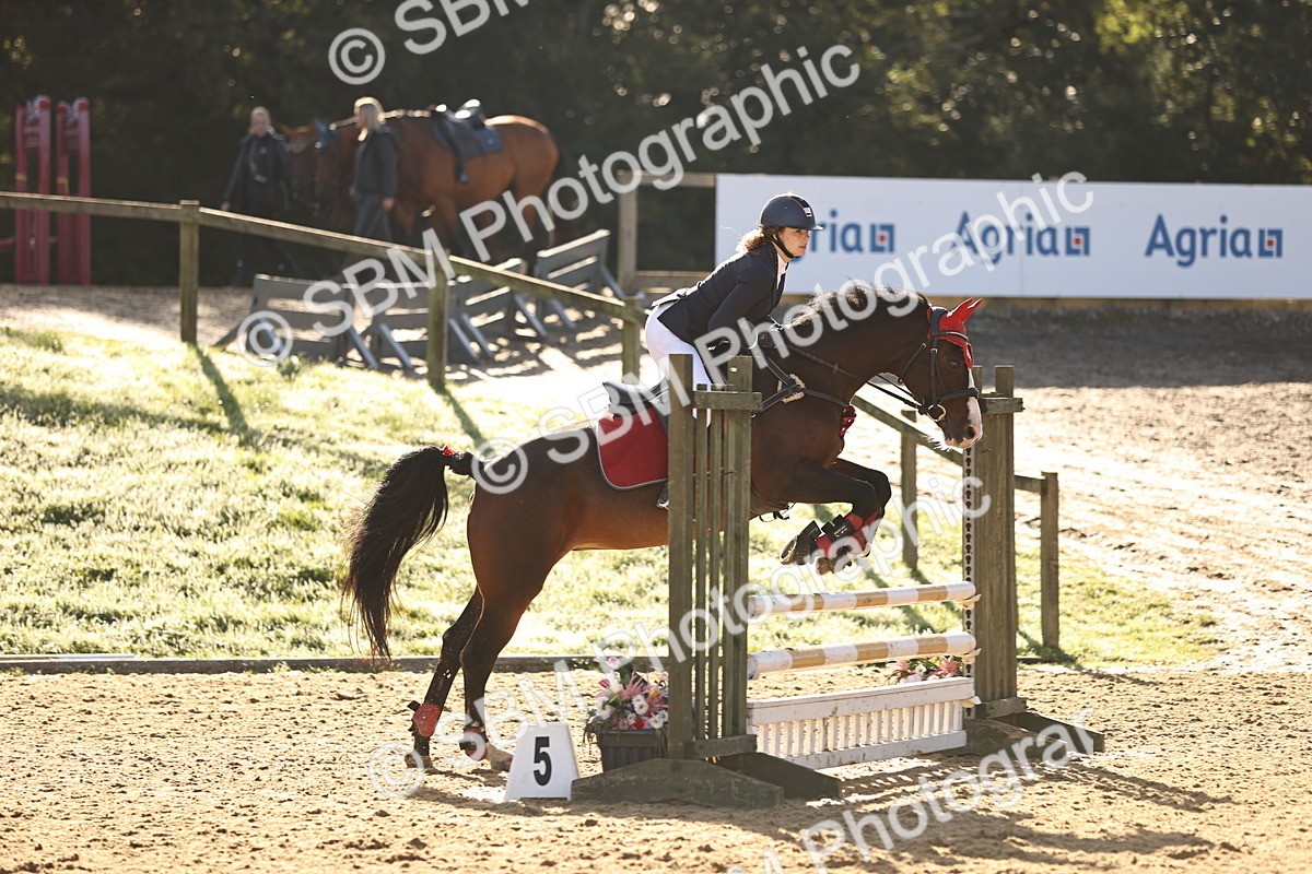 SBM_34831 - J38 - Senior 80cm Championship