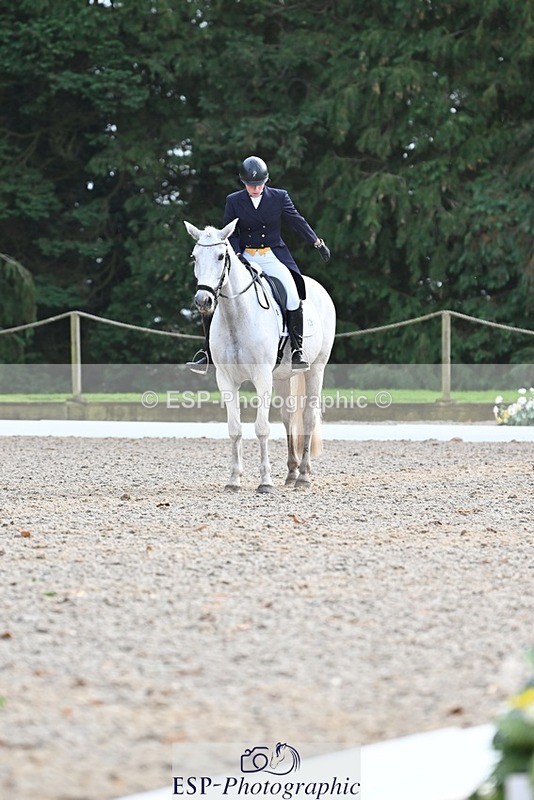 231019-144529-04600 - 126-DERRYS.LADY.LOU-Debbie.Townsend-DR