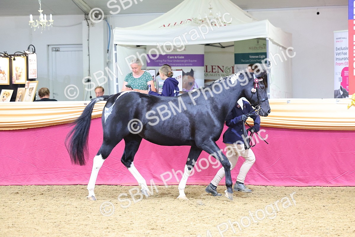 SBM_22792 - Class 903 - Supreme Final - IH Pre Vet