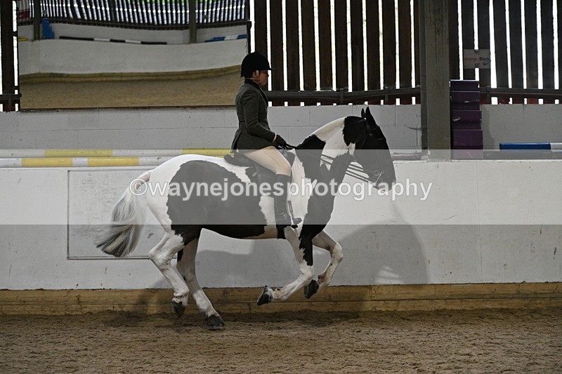 WJ7_3884 - Class 17 Ridden Cob