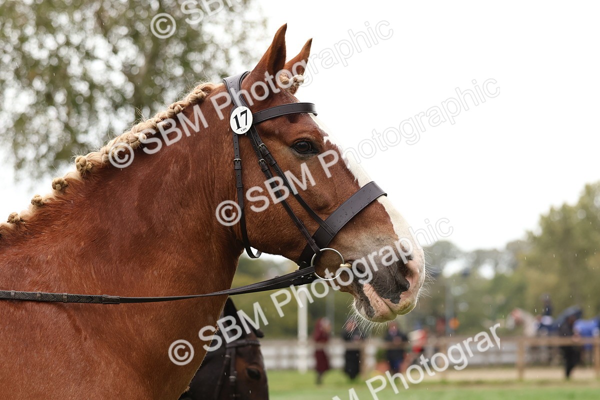 SBM_45038 - S27 - Young Veteran Ridden