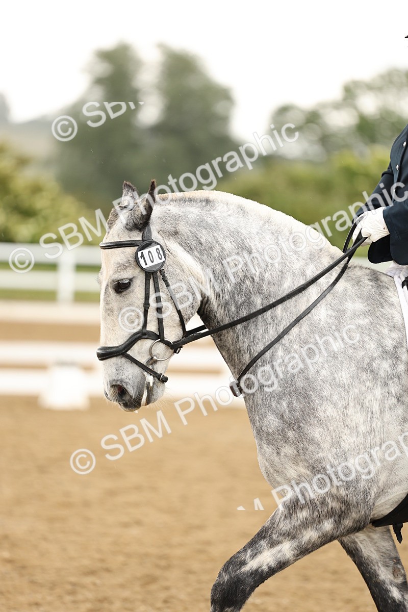 SBM_004933 - Class 6a - Novice 5 - 14.48-16.40