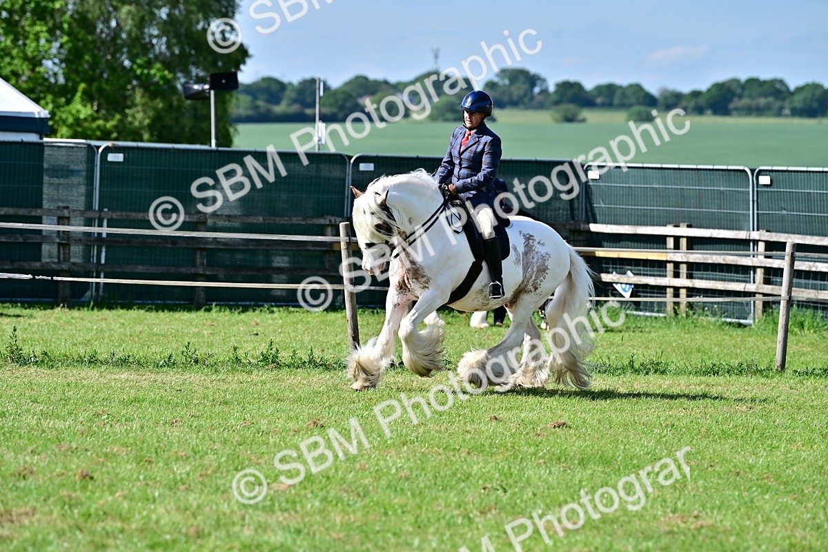 SBM_09390 - Class 63-65 - Traditional Gypsy Cobs In Hand & Ridden