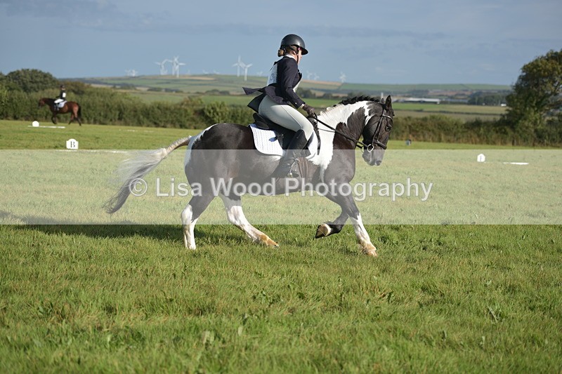 RAY_7336 - Class 2B: Trekenning Open: Dressage