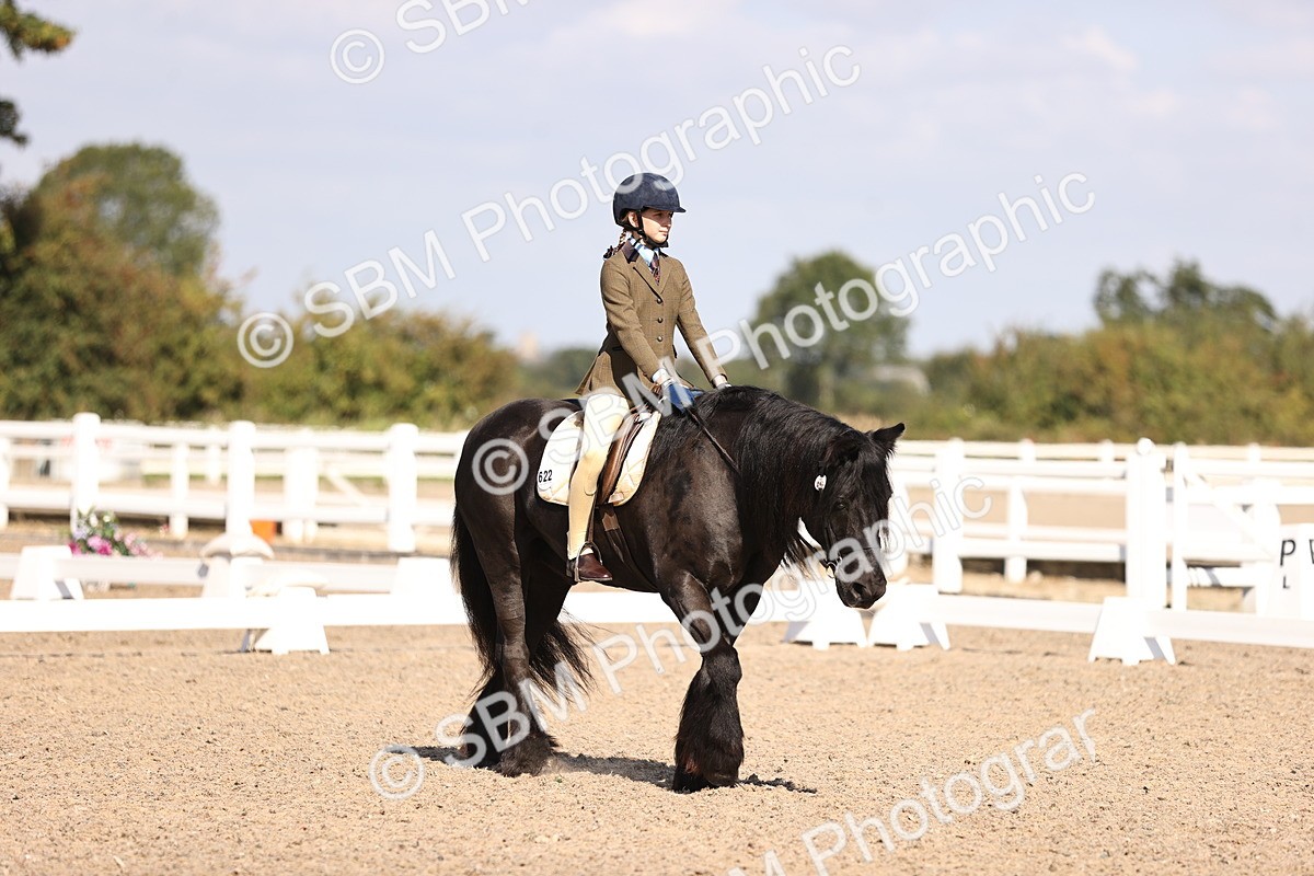 SBM_03482 - CLass 35 Intro 3