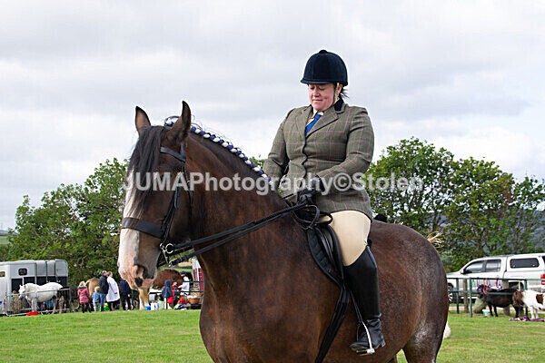DSC_0211 - Ring 1