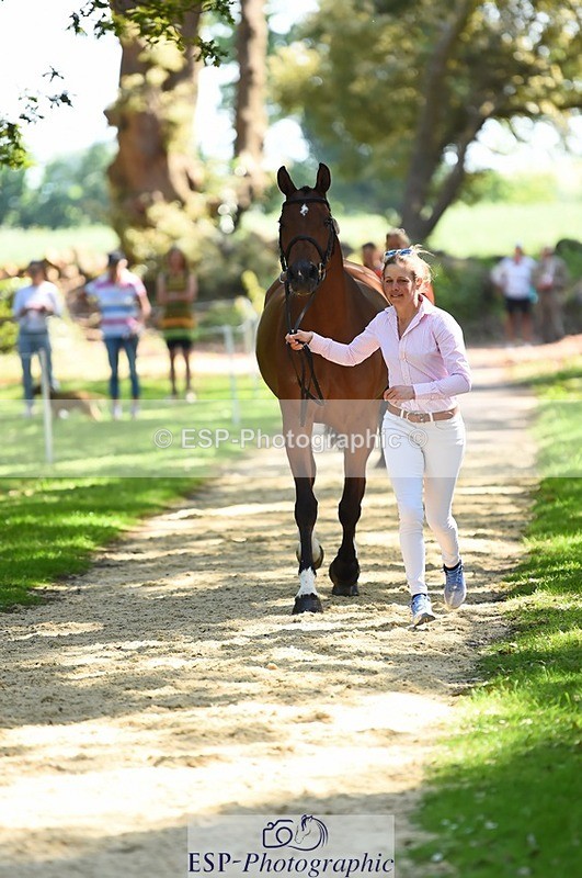 230524-150554-00062 - 381-CAROLINES_AIR_KM-Izzy_Taylor-WEDTrotUp+DR