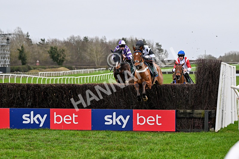 281225-Race 3-Supreme George-0346 - Race 3