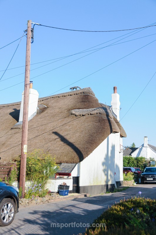 Chittlehamholt pub thatch, N. Devon - Travel, city/land scapes