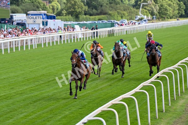 280625-Race 5-Turquino-0450 - Race 5 4.15pm Al Basti Equiworld Dubai Handicap