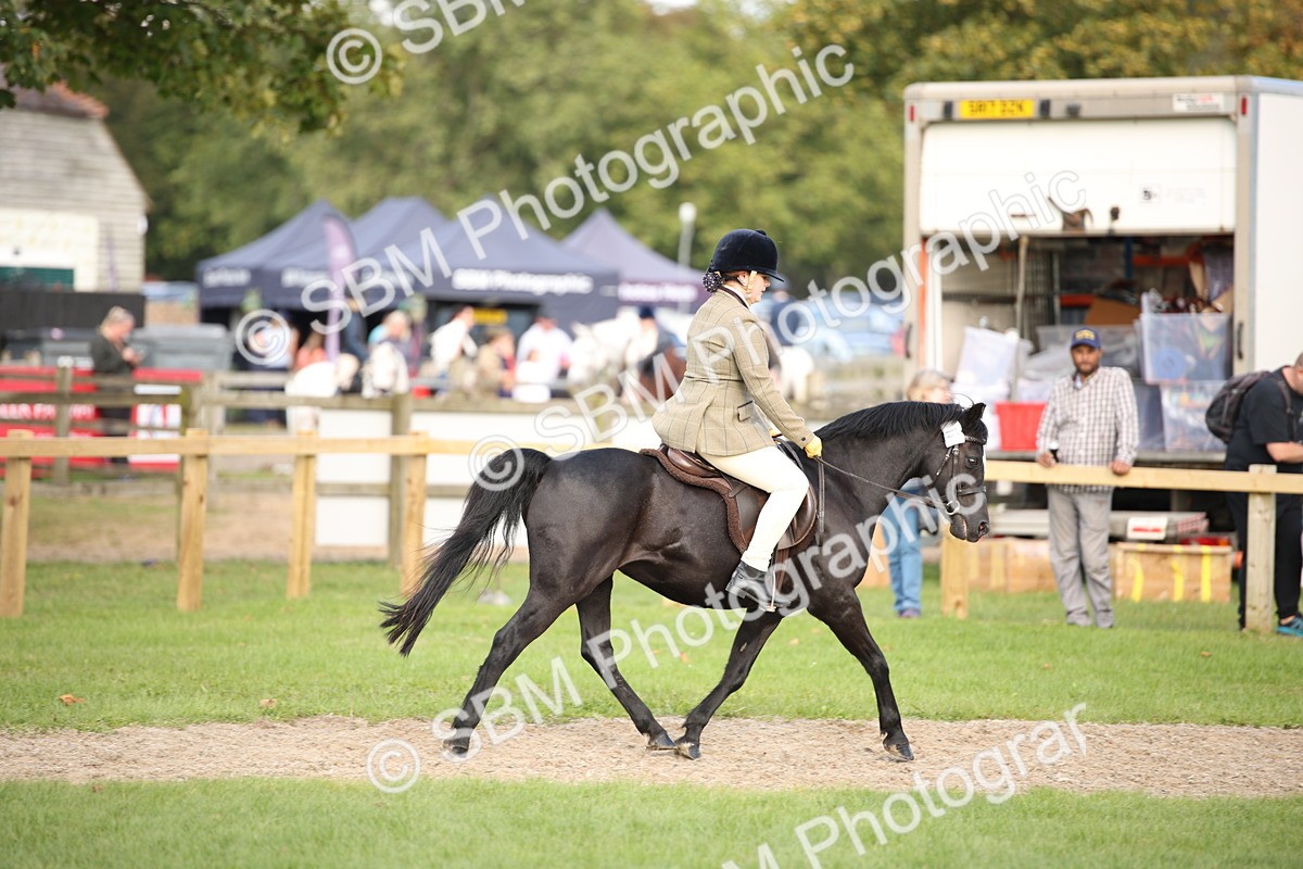 SBM_50157 - S26 - Young Veteran - Ridden