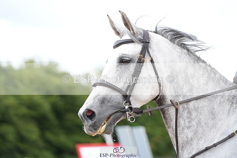 250731-150242-02052 - Cls 11 A&B 1.10cm Nat Am & 1.10 Open