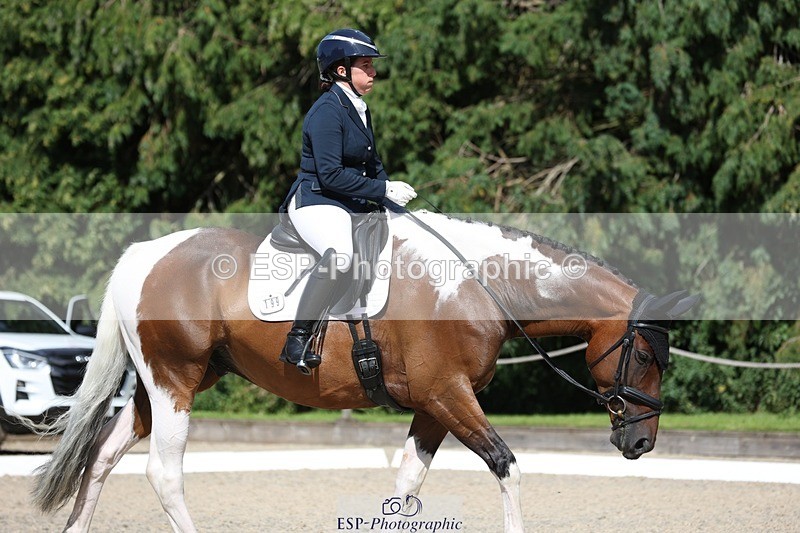 230811-153604-02482 - Cls 1 Prelim Bronze 15.00 to End