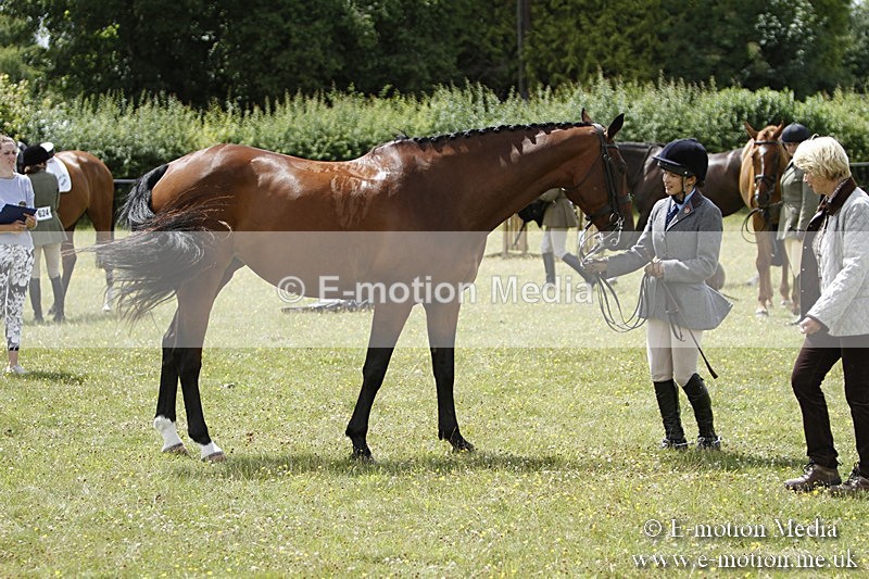 BVR160717-1856 - Ring 3 BVRC Show 16/07/17