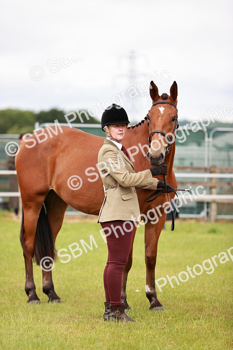 SBM_00771 - Class 26-30 Sport Horse In Hand